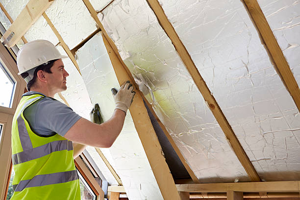 Best Eco-Friendly Insulation in USA